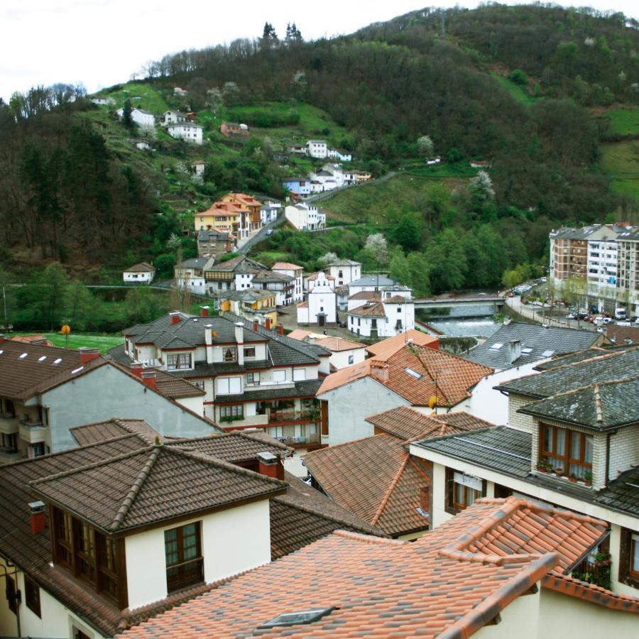 Appartement La Refierta à Cangas De Narcea Extérieur photo